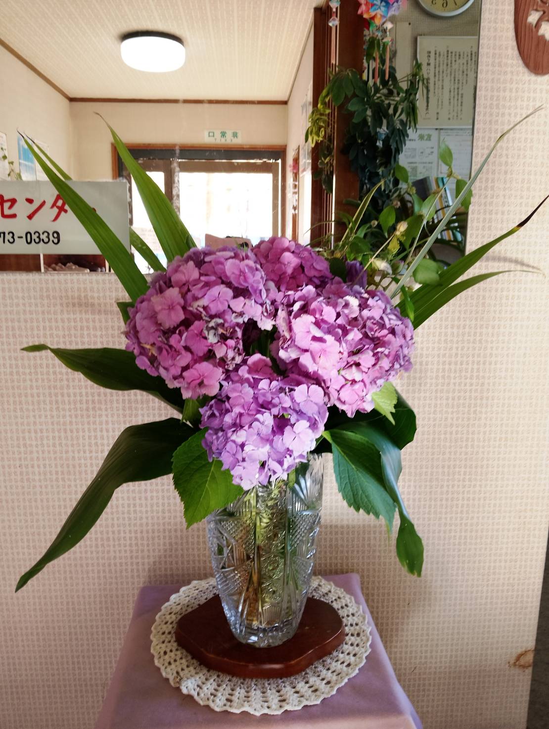 待合室に飾られた紫陽花